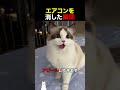エアコンを消した瞬間