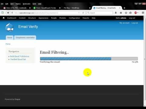 Bulk Email Verify Script In Action