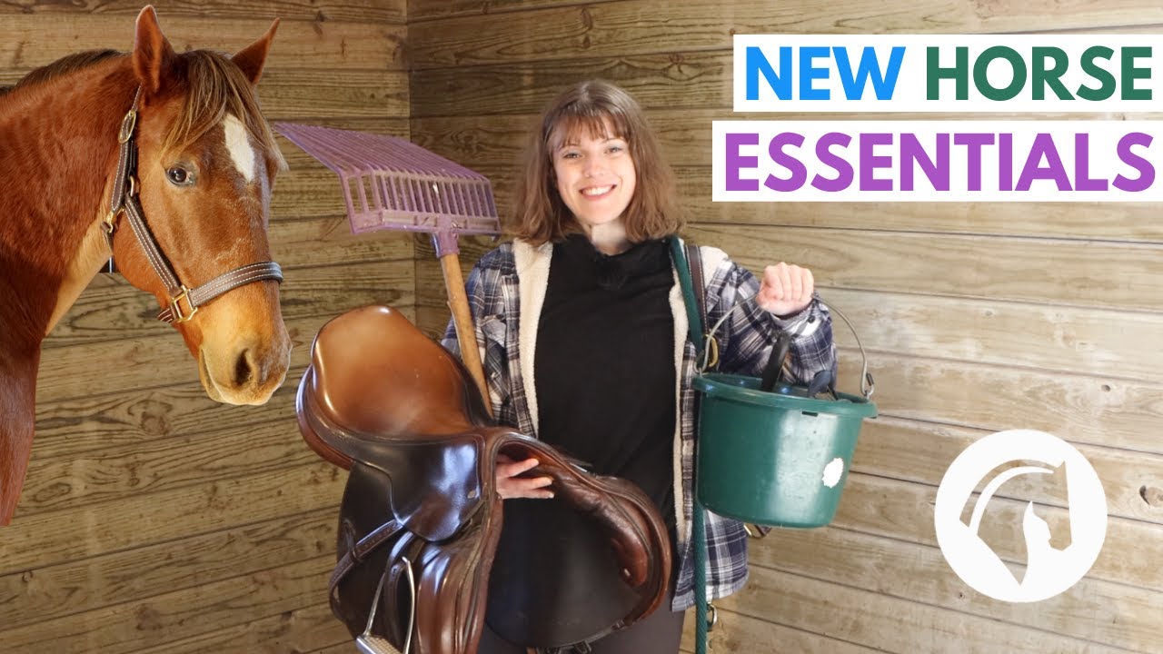 What To Buy For Your First Horse! YouTube