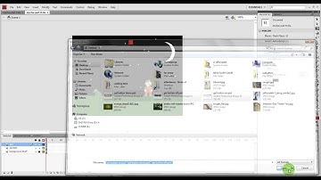 Flash: Adding a Reset Button PART 1