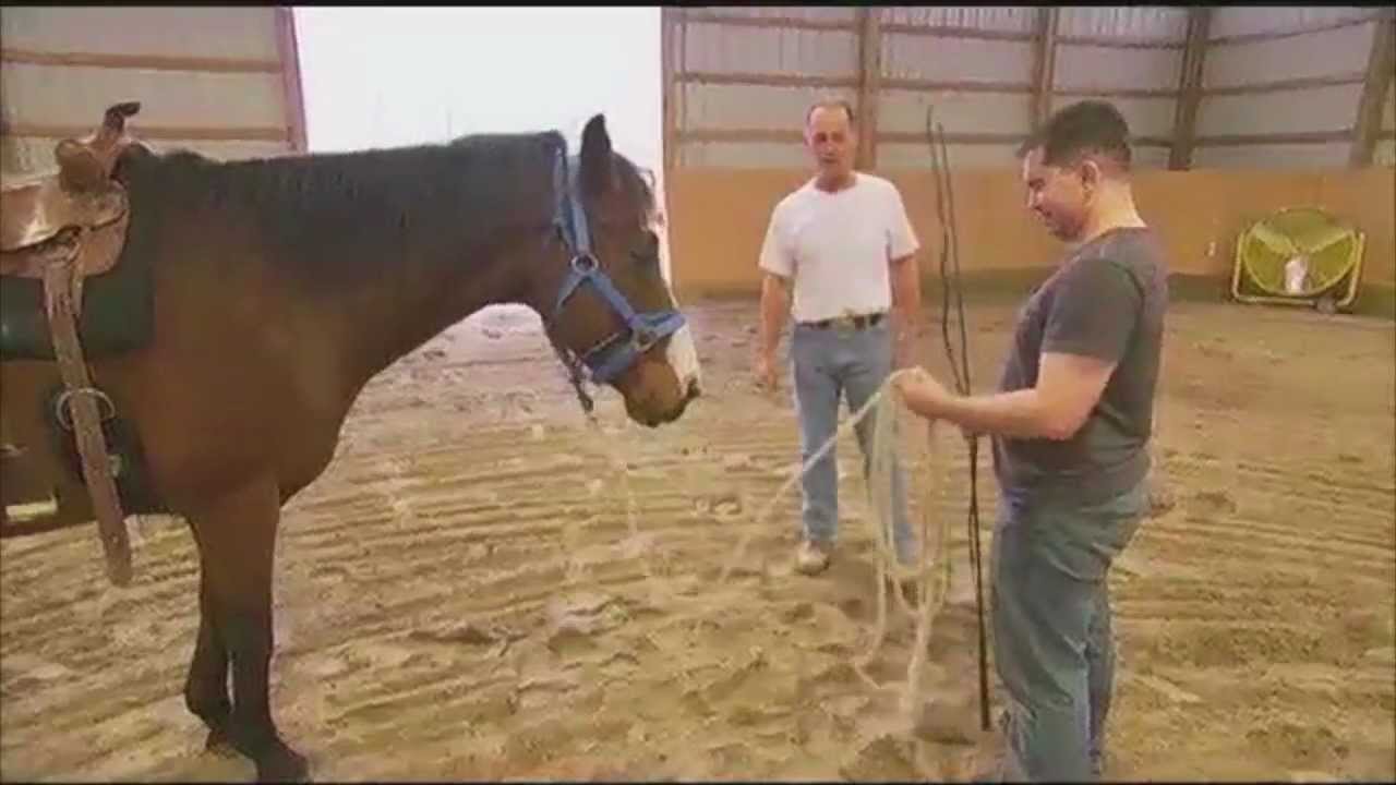 Bradford Woods Horseshoes of Hope on BTN YouTube