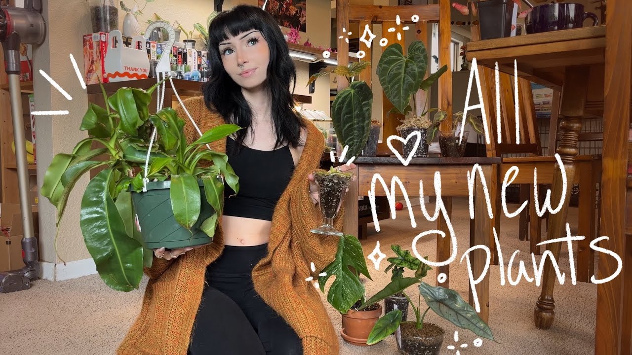 All the plants I’ve gotten recently (and how they’re doing) - YouTube