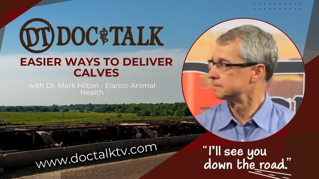 DocTalk Ep 301 - Easier Ways to Deliver Calves with Dr. Mark Hilton