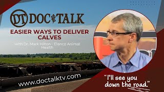 DocTalk Ep 301 - Easier Ways to Deliver Calves with Dr. Mark Hilton
