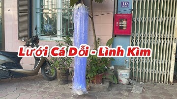 Lưới Cá Dỗi , Lình Kìm , Cá Đục | Cao 1,5m x 100m 2cm | Lưới Nổi |