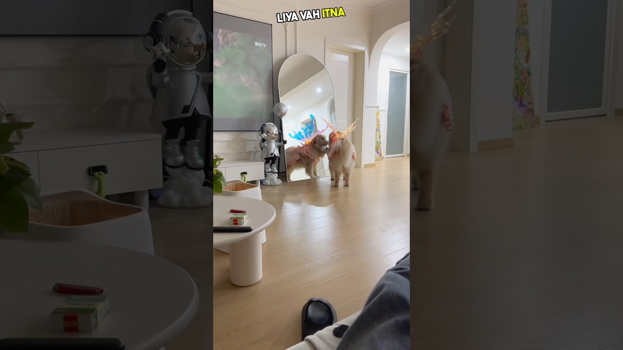 Doggy's Joy After Getting Fairy Like Wings