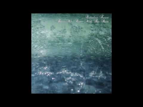 Colorless Forest — Colorless Forest - Bottom