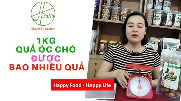 1Kg Quả Óc Chó Được Bao Nhiêu Quả? | HSaHa