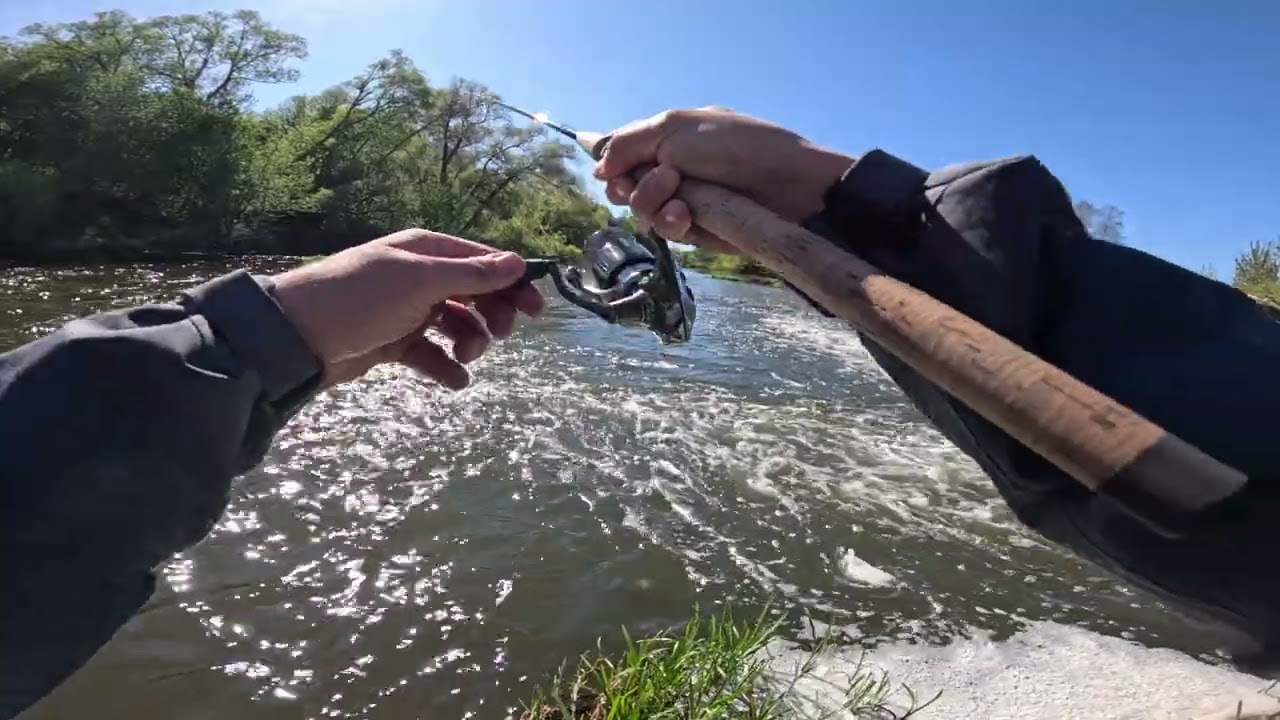 РЫБАЛКА НА ГОЛАВЛЯ ВЕСНОЙ! Весенний голавль на спиннинг! 