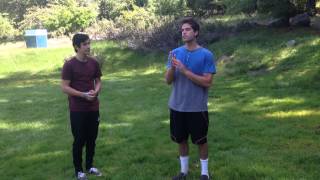 Information SDAIE Strategy Video News