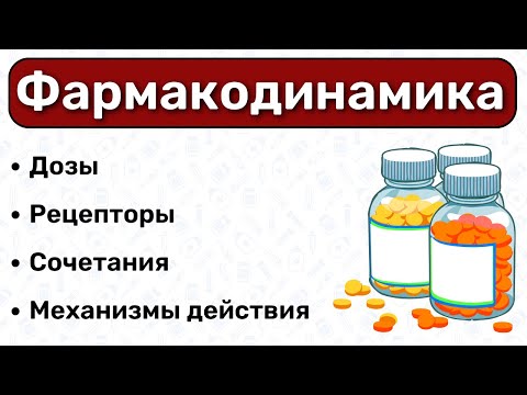 Фармакодинамика: что это, рецепторы, механизмы действия / Фармакология