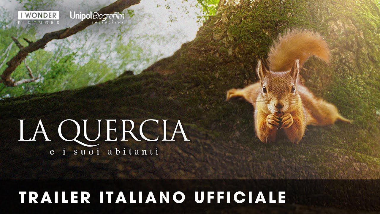 LA QUERCIA E I SUOI ABITANTI  Trailer italiano ufficiale HD