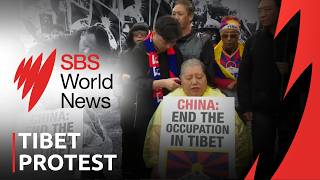Why Tibetan-Australians are shaving their hair in protest