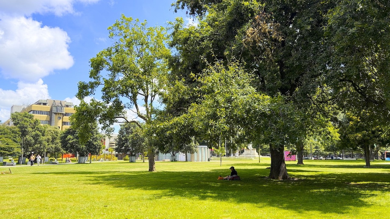 Summer in the Square 2026