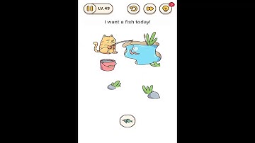 Brain Find Level 43 Walkthrough