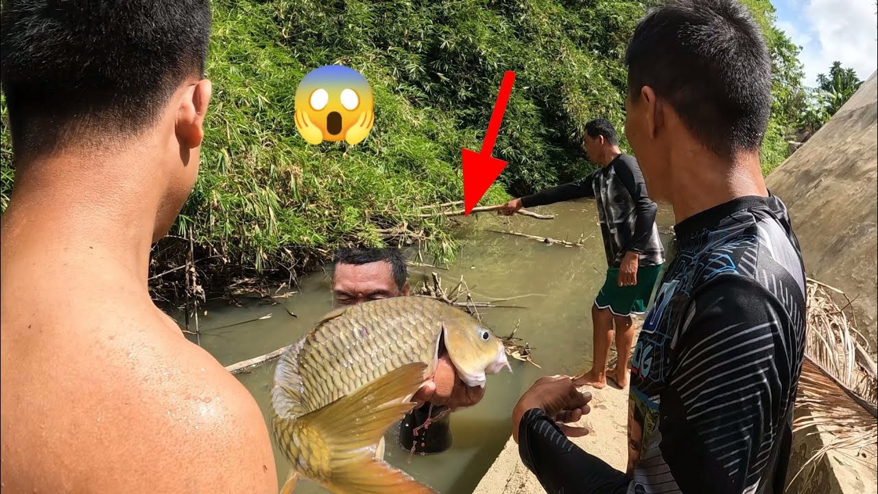 Natagpuan namin ang pinamugaran ng malalaking carpa grabe ang dami nila