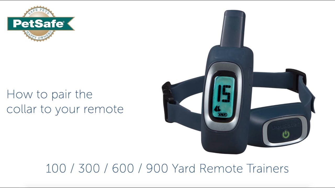 100 yard remote trainer