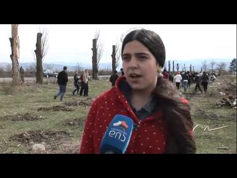 ,,მწვანე კედელი\" გორის რაიონში-ქარსაცავი ზოლების აღდგენა დაწყებულია