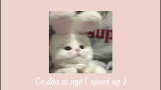 Có đâu ai ngờ (speed up) ~Cầm~