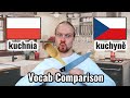 Polish Czech Conversation | In the Kitchen | Slavic Languages Comparison