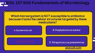 BIOL 107 606 Fundamentals of Microbiology