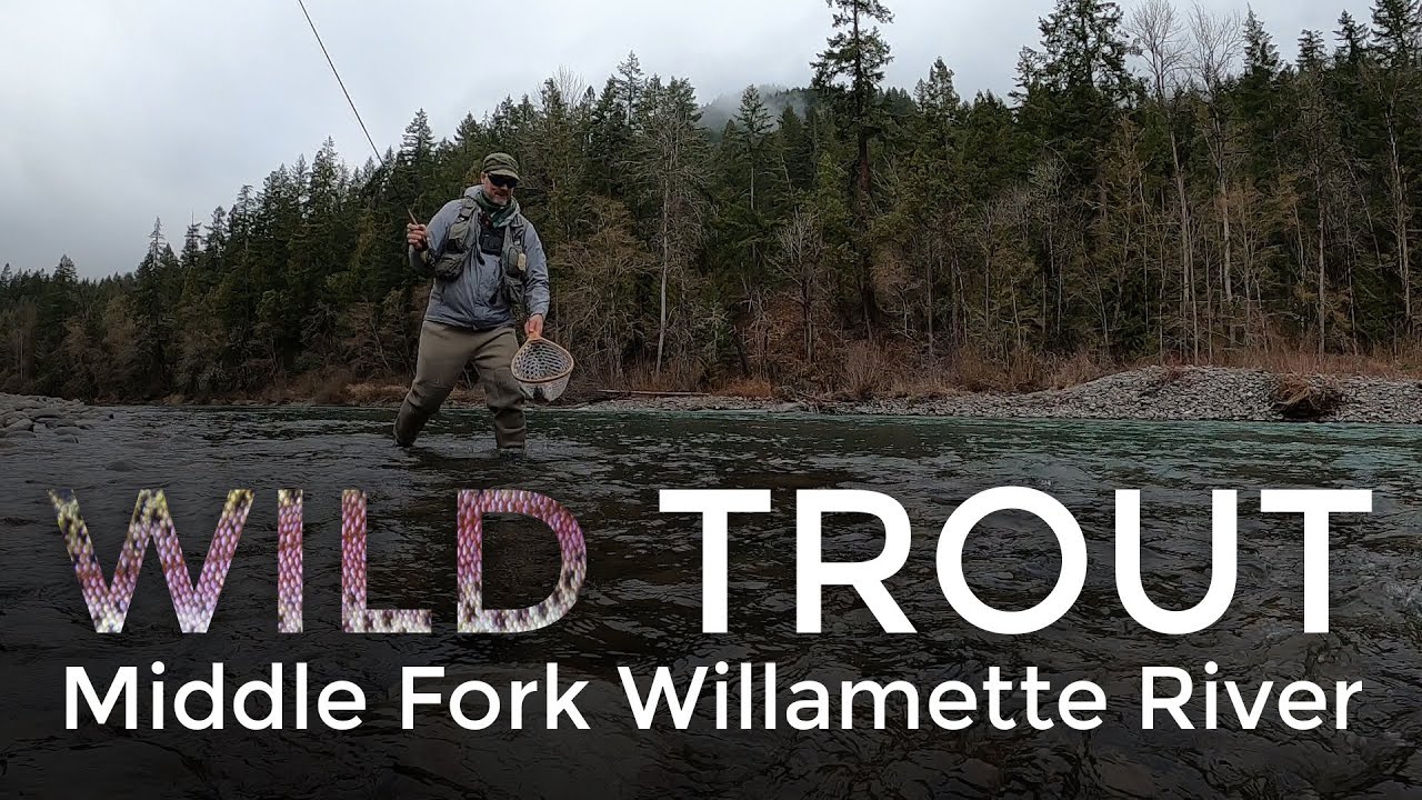 Middle Fork Willamette - ESN Fly Fishing - PDXFlyCollective.com Cut