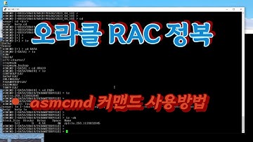 3  Oracle RAC ASM 스토리지 asmcmd