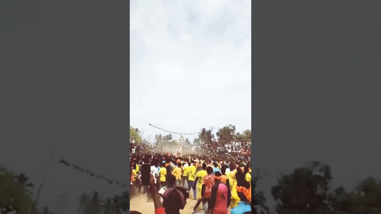 VTN Dhasanapuram Jallikattu fastival 10/04/2022