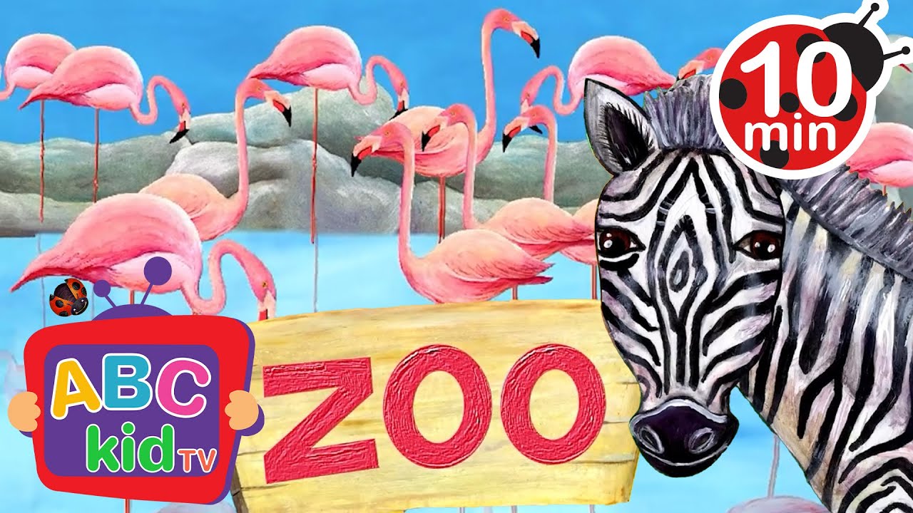 🦓🔡 