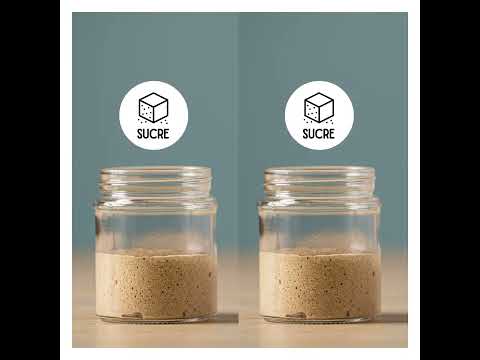 Comment le sucre influence la fermentation de la levure ? - video from Lesaffre