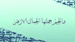اليوم العالمي للغة العربية ( قصيدة لغة الضاد ) الشاعرة سعاد الزحيفي