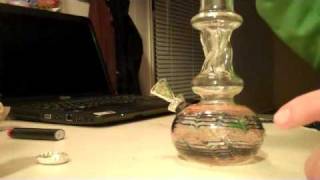 Long Beach Strain Review: PurPonic