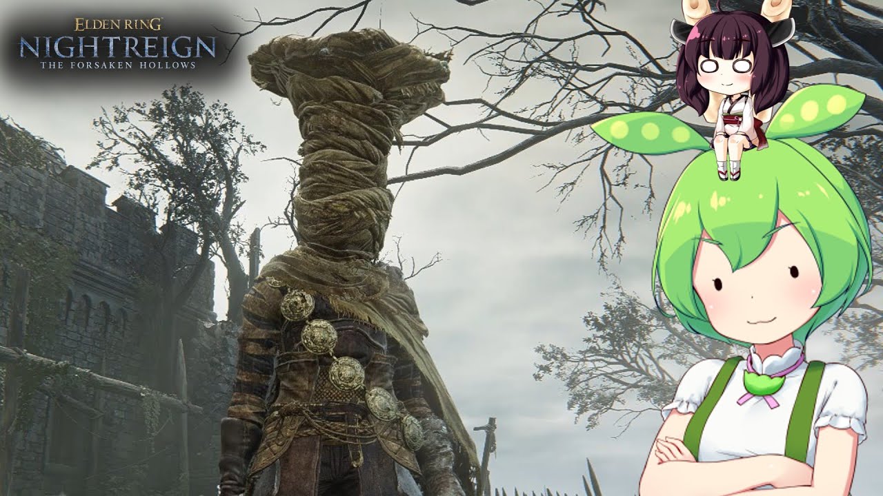 夜渡り上手ずんだもんたんDLC【ELDEN RING NIGHTREIGN The Forsaken