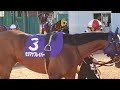 【パカパカ動画】【浦和競馬場】【Horse footsteps】重賞日は2頭でお出迎えからの引き上げ横断 でも帰りは1頭 のパカパカ横断