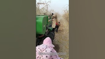 Revolutionary Jujube Harvester: How Farmers Collect & Pack Dates in One Step!