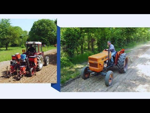 Preparazione Terreno e
