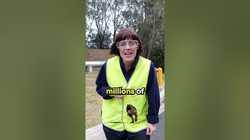 The Natural Water Cycle