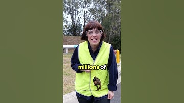 The Natural Water Cycle