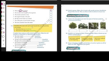 My new canvas class 6 ch1 grammar L 6