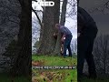 Спас корову #спасение #животные #рекомендации