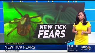 New Tick Fears