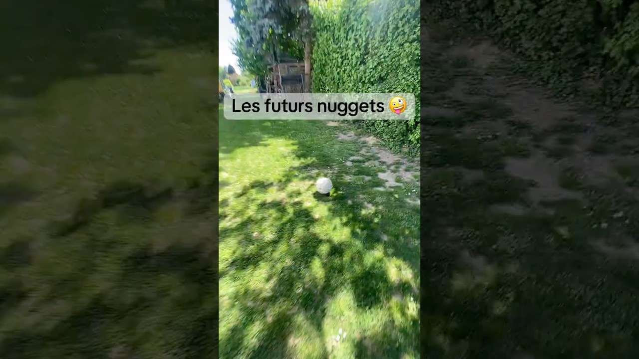 #potager #jardin #astuce #naturelovers