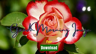 Good Morning Image # 6 | Good Morning Image for Download | Beautiful Good Morning Image |