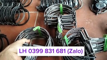 mẫu cạm kiềng 9cm,14,16,18, bán nguyệt nhỡ, đại có răng và không răng đánh chuột chồn sóc#cạmbẫythú