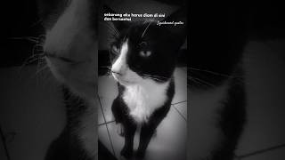 Download Lagu POKOKNYA AKU AKAN BERSANTAI - SQUIDWARD #squidwardquotes #squidward #whatsappstatus #sadstatus MP3