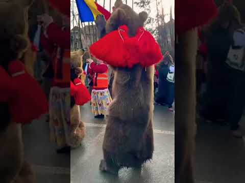 Short video