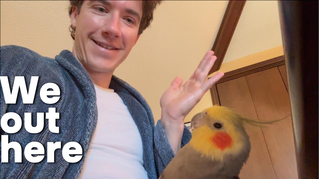 Всем привет