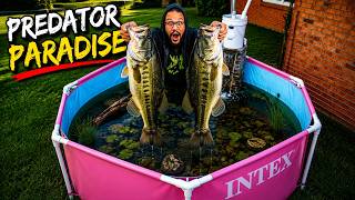 “I Built a Pond Out of a TikTok Shop Pool”