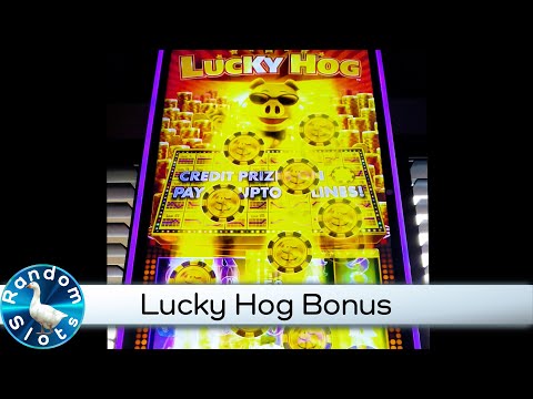 Lucky Hog Slot Machine Bonus
