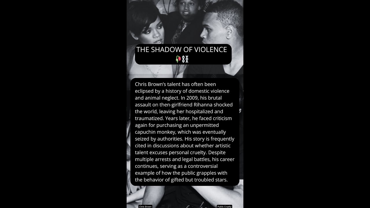 Chris Brown’s Legal History After the 2009 Assault Case 🥀⛓️